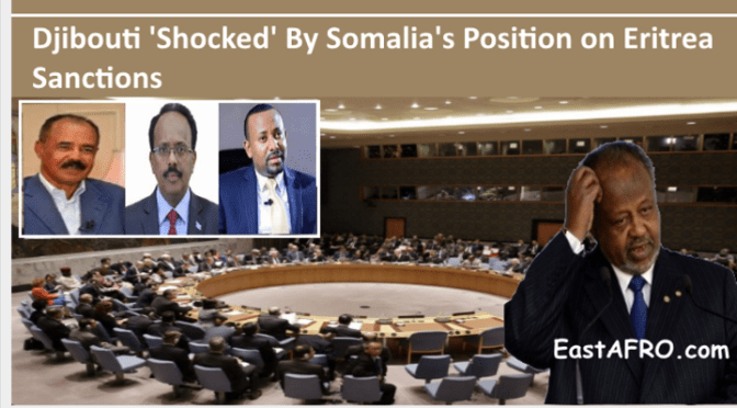 Djibouti ‘Shocked’ By Somalia’s Position on Eritrea Sanctions