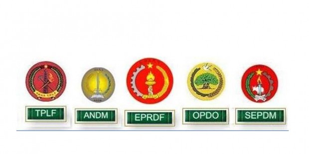 Ethiopia faces political crisis, parties need to focus on common grounds and discuss differences