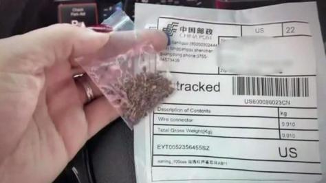 0729-en-shamlian-522226-640x360